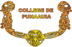 Collège de Punaauia